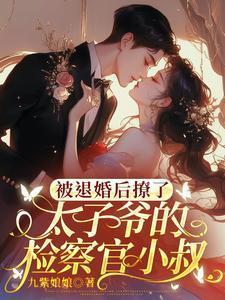 被退婚后撩了太子爷的检察官小叔