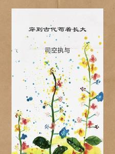 流途明开夜合讲的什么