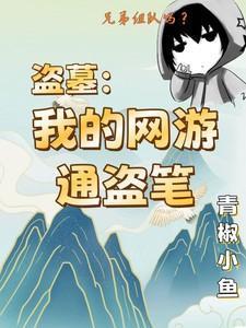 盗墓:我的网游通盗笔