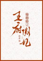 王府侧妃她跑路了