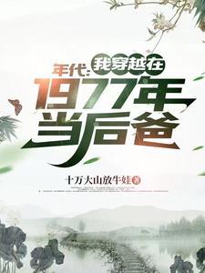 年代:我穿越在1977年当后爸